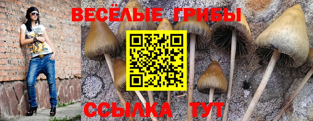 Галлюциногенные грибы ЛСД  Вход с VPN  Елизово 